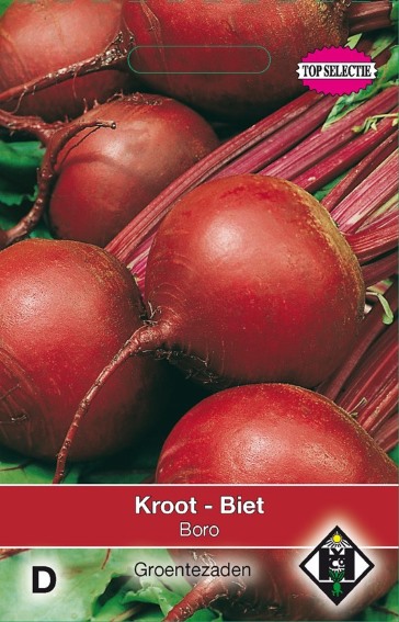 Rode biet Boro (Beta vulgaris) 200 zaden